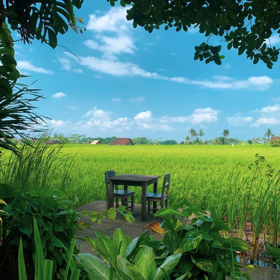 Umasari Rice Terrace Villa Tabanan  Exterior photo